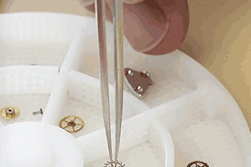 济南劳力士手表更换蝴蝶扣